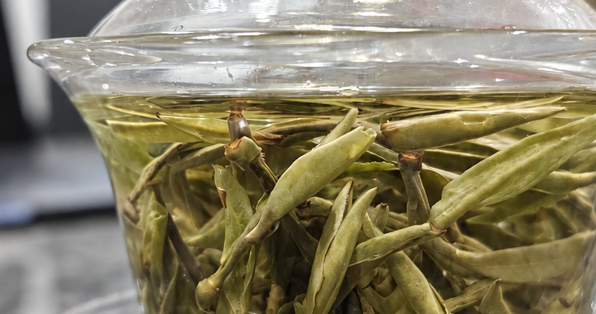 Modern Gongfu Cha: A Ritual Without the Costume