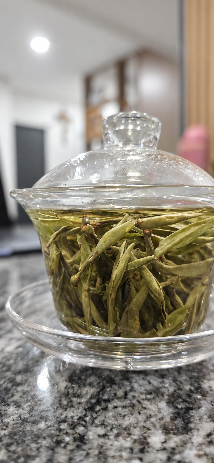 Green tea leaves opening inside a clear gaiwan in an everyday home setting